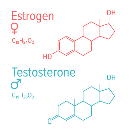 testosterón a Estrogen