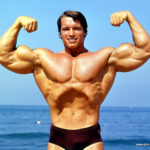 Arnold Schwarzenegger