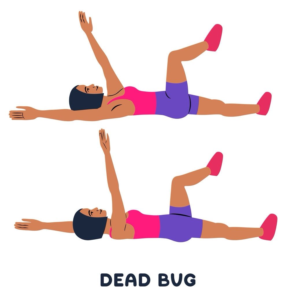 Pošvanc Fitness - dead bug